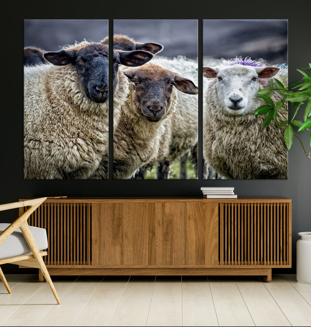 Sheep Domestic Animal Canvas Wall Art Canvas Print