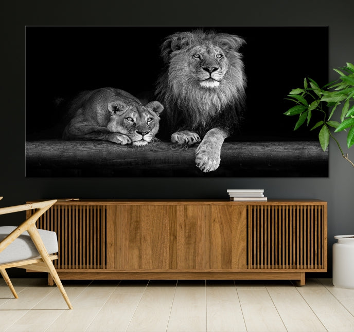 Large Black and White Lion Couple Wall Art Canvas Print