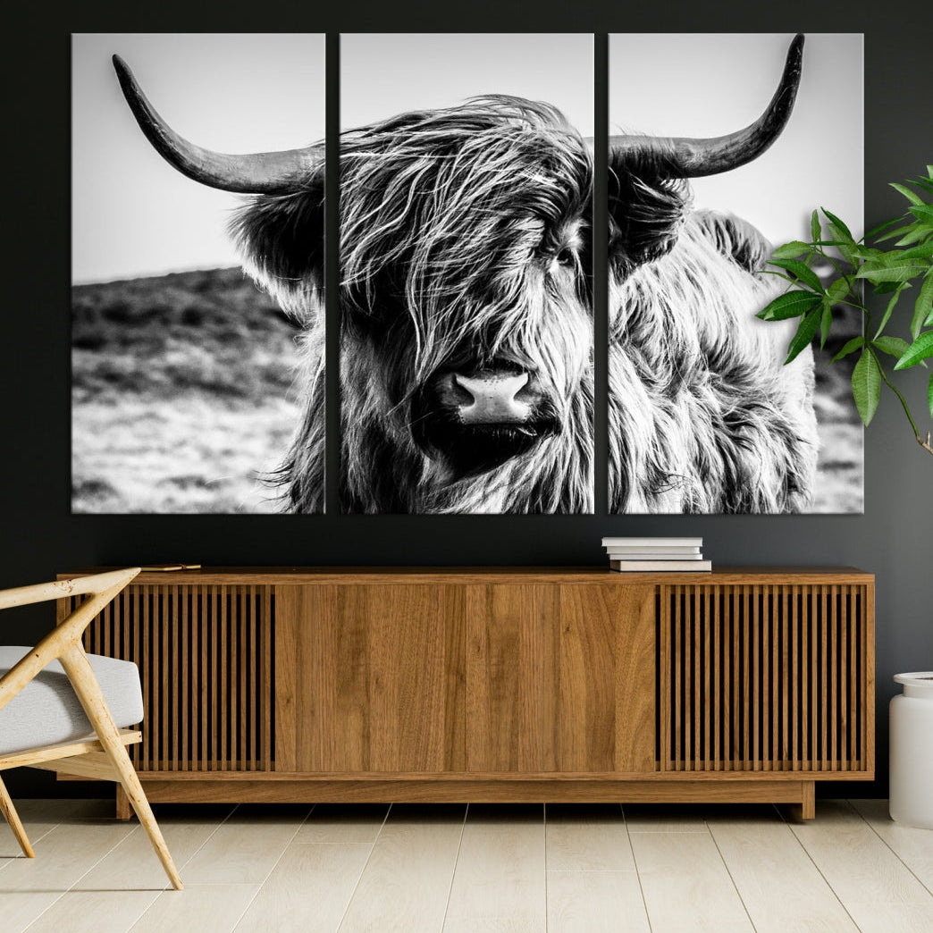 Handsome Scottish Cow Black and White Animal Wall Decor Nature Canvas Art Print
