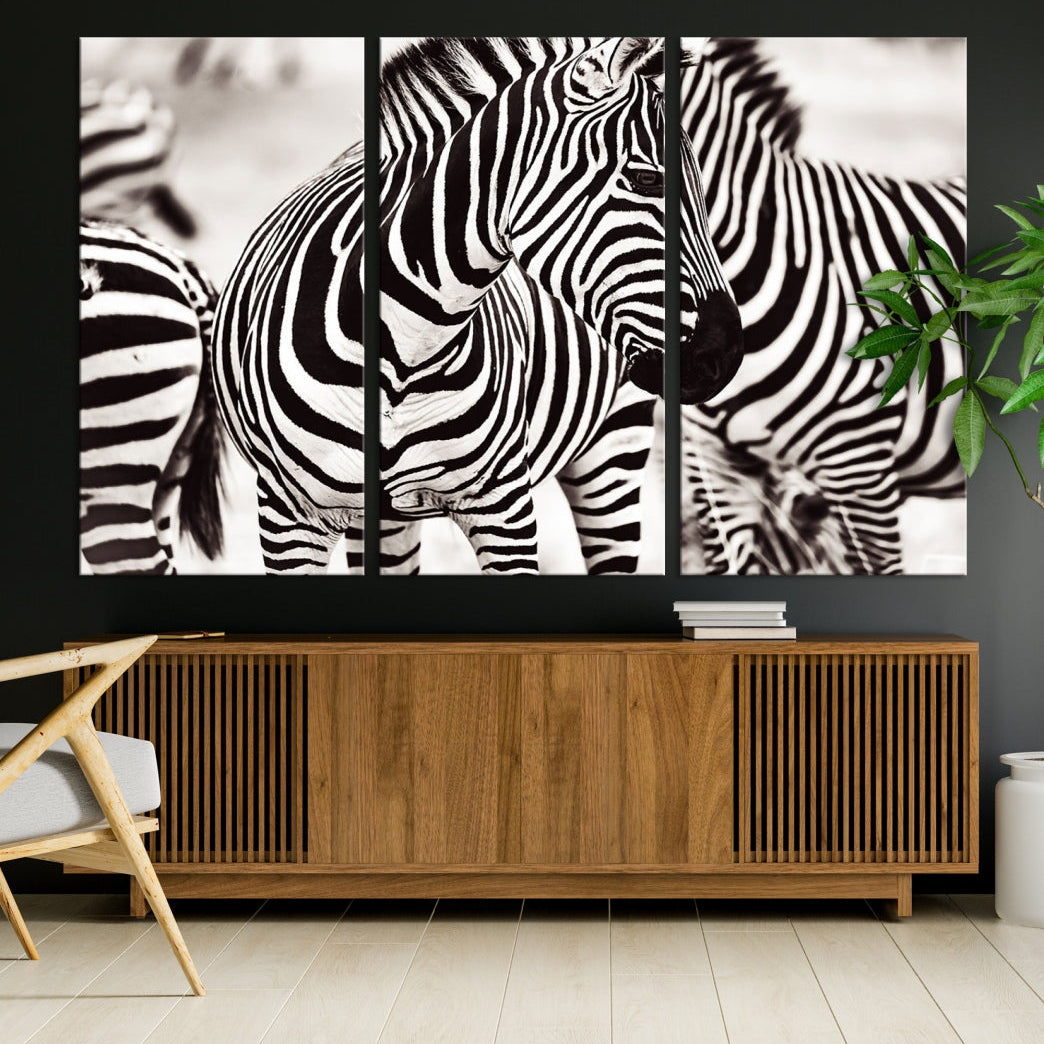 Amazing Zebra Photography Art Canvas Wall Art Africa Animal Print