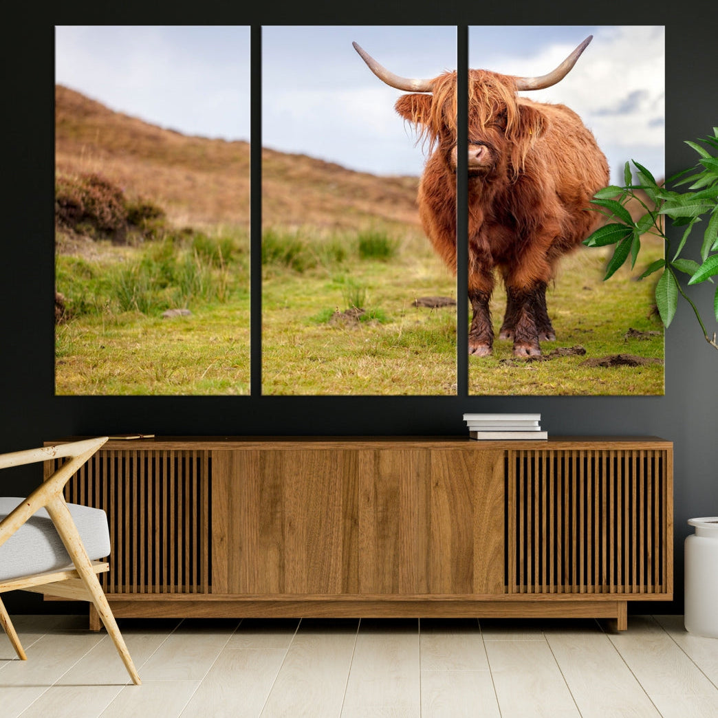 Highland Cow Large Animal Canvas Wall Art Texas Cow Canvas Art Cattle Photograph Art Canvas Picture Animal Art Print