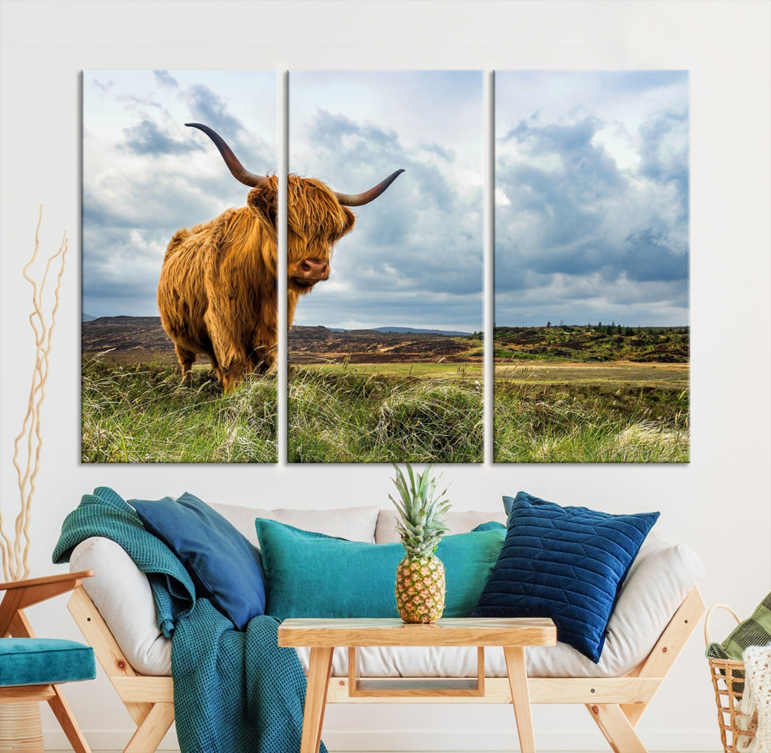 Extra Large Highland Cow Wall Art Animal Photography Canvas Print