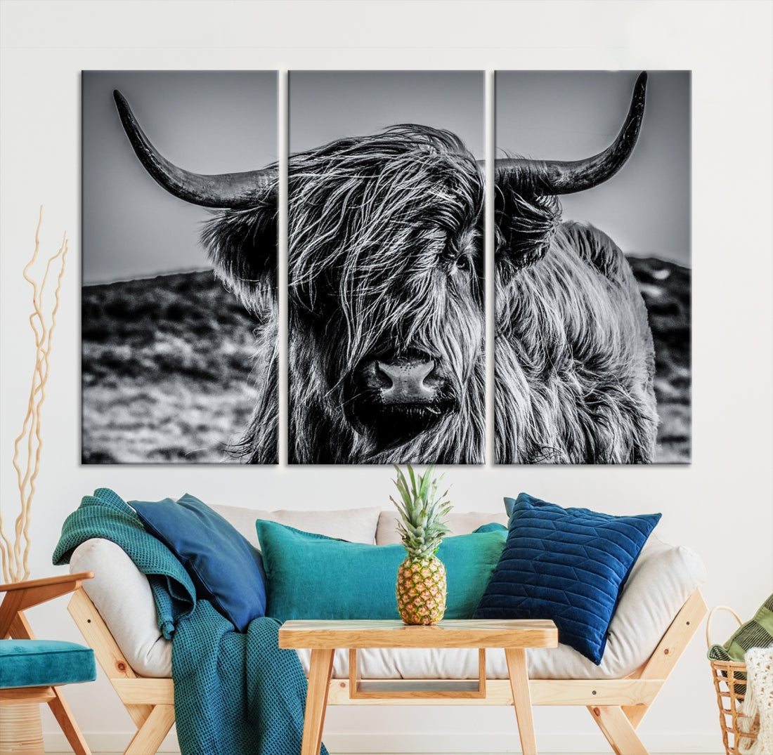 Highland Cow Photo Canvas Wall Art Print Black and White Cattle Animal Art