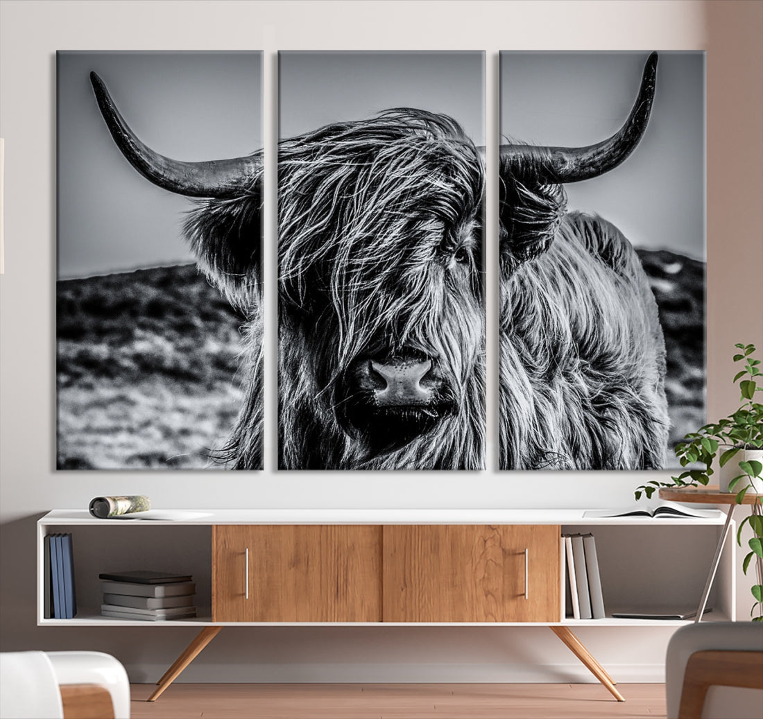 Highland Cow Photo Canvas Wall Art Print Black and White Cattle Animal Art