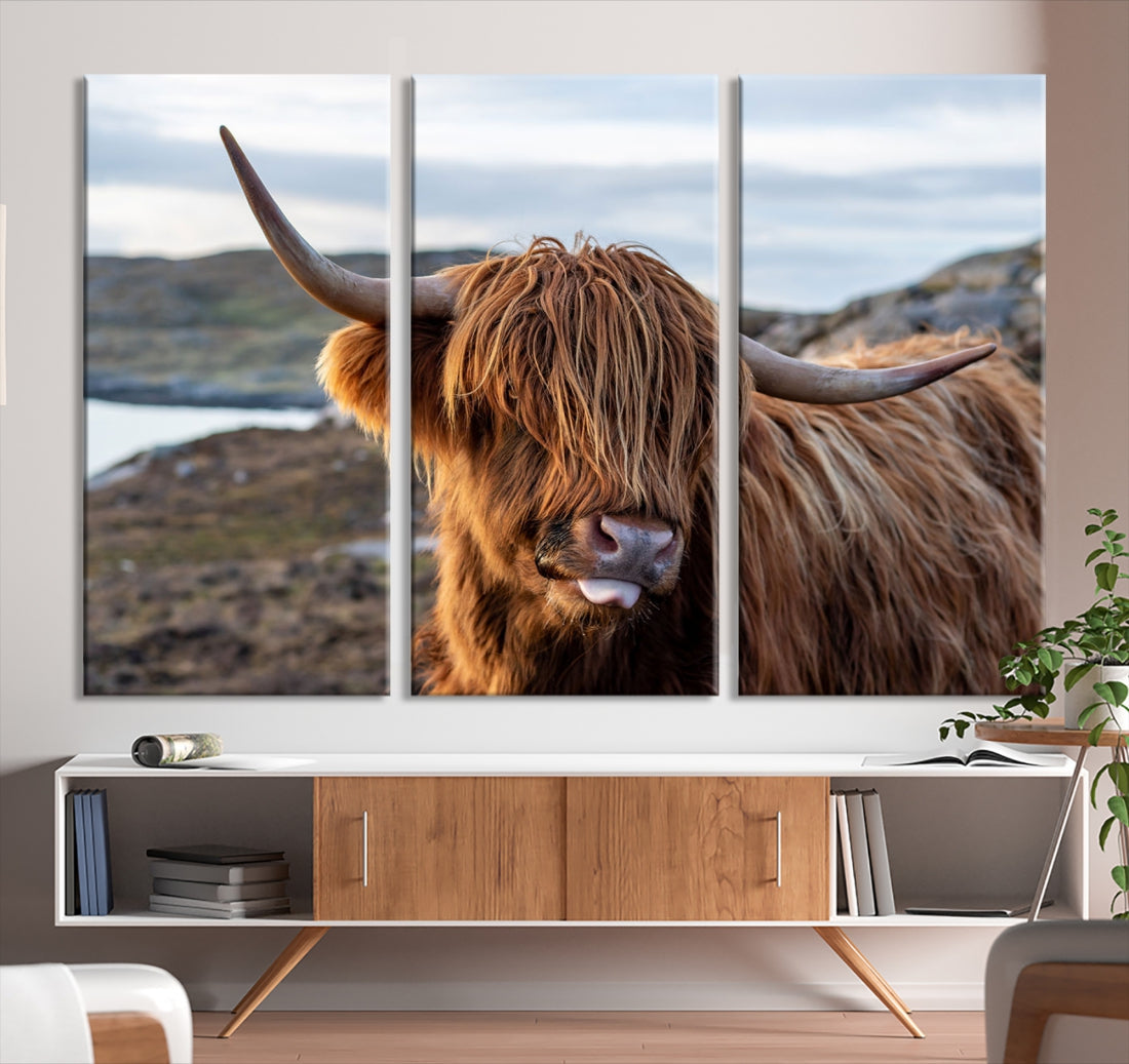 Cute Highland Cow Photo Print on Canvas Wall Art Animal Farmhouse Decor