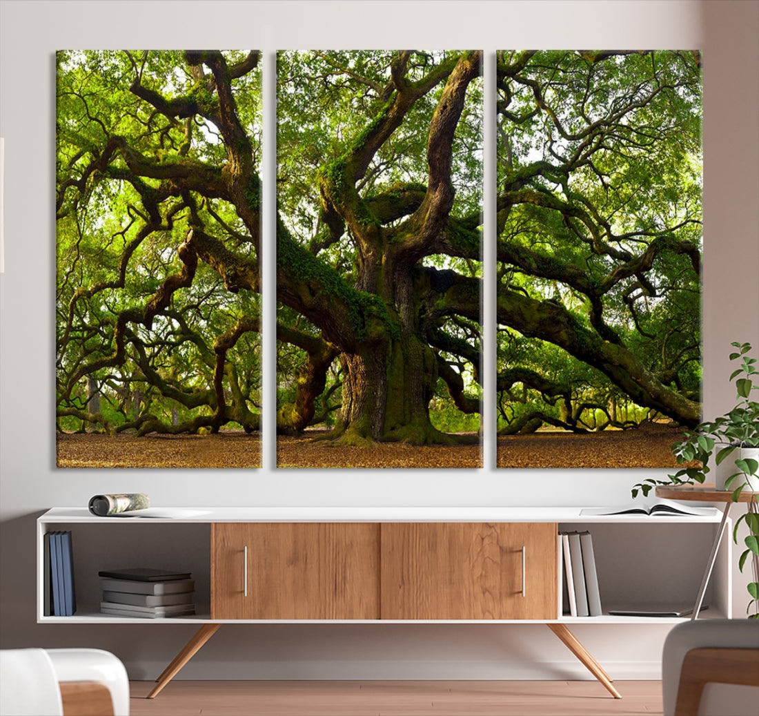Large Mighty Angel Oak Wall Art | Angel Oak Tree Art Print | Large Canvas Print | Framed Canvas | Extra Large Wall Art |