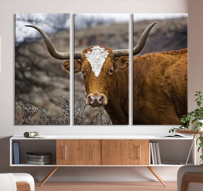 Large Texas Longhorn Cow Canvas Wall Art Animal Art Print