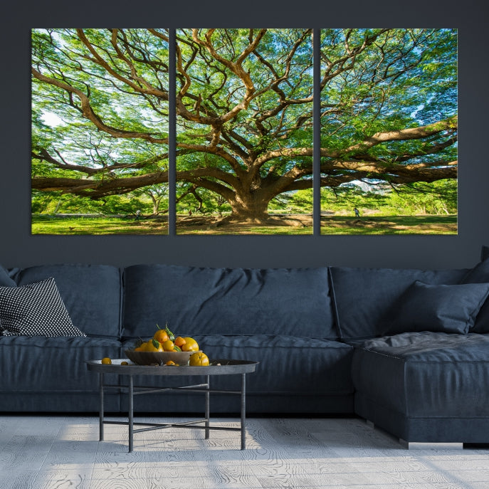 Large Angel Oak Tree Wall Art Canvas Print