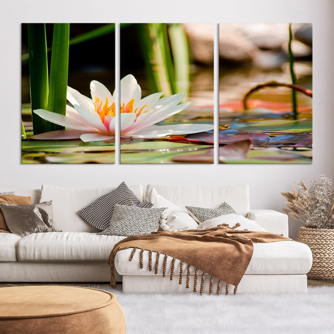 White Lotus Flower on Water Lily