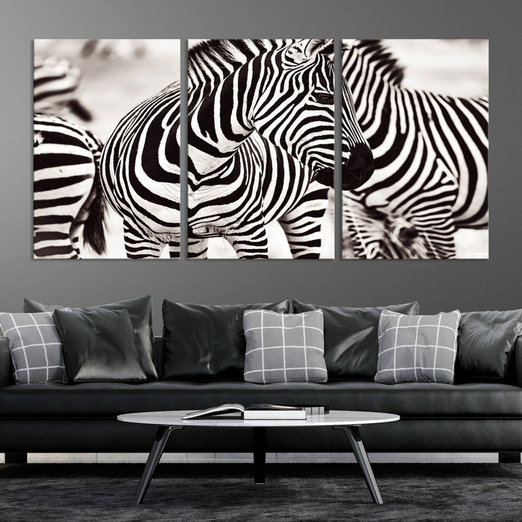 Amazing Zebra Photography Art Canvas Wall Art Africa Animal Print