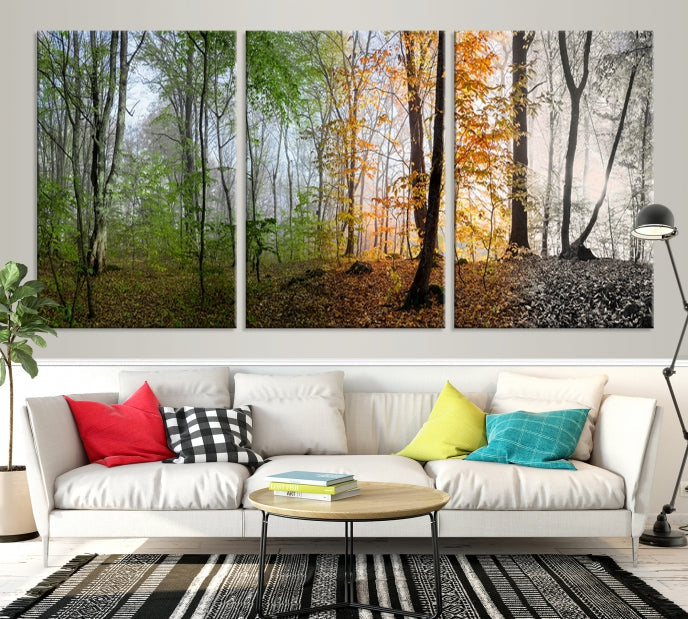 Bring the Beauty of the Four Seasons in a Forest Landscape with Large Trees to Your Home with Our Wall Art Canvas Print