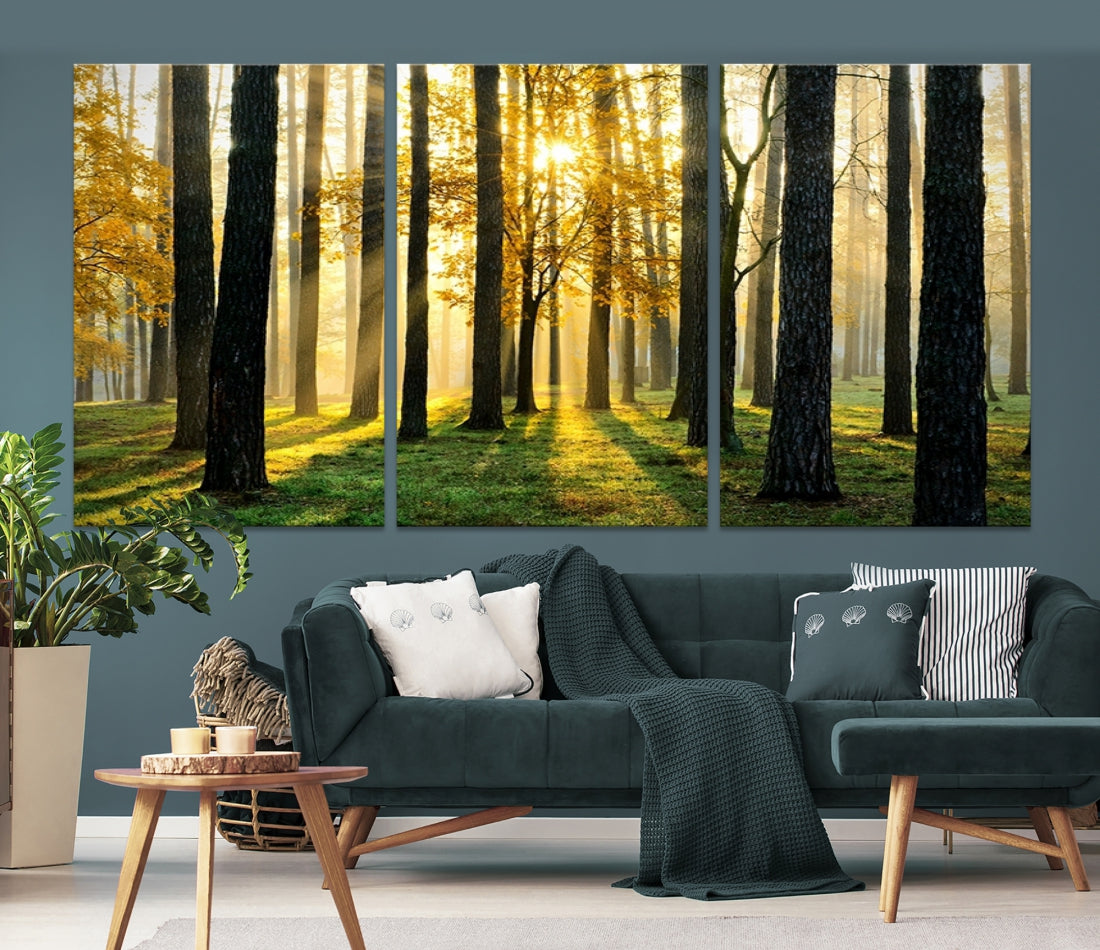 Tall Trees in Forest at Sunset Large Wall Art Landscape Canvas Print