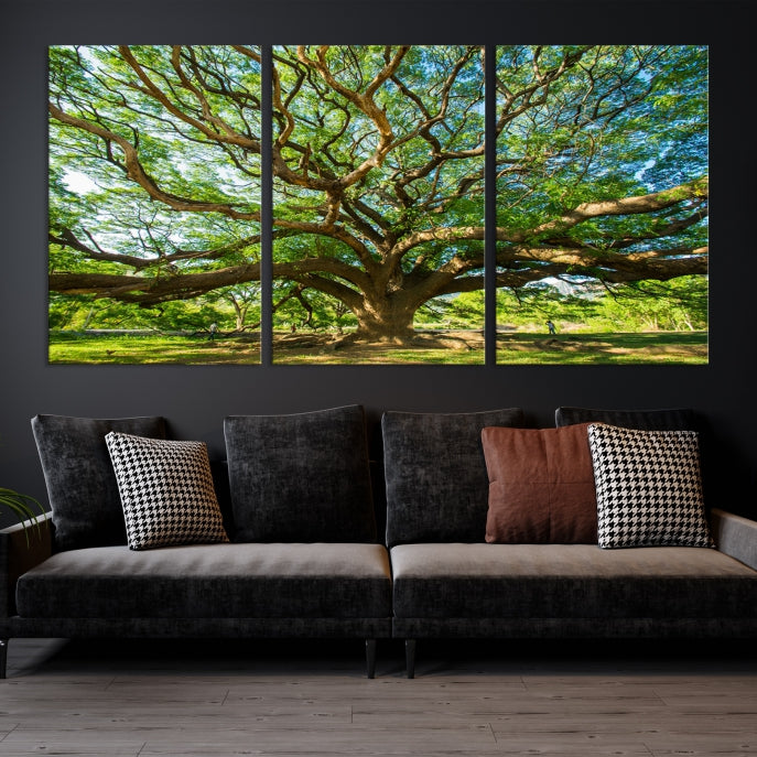 Large Angel Oak Tree Wall Art Canvas Print