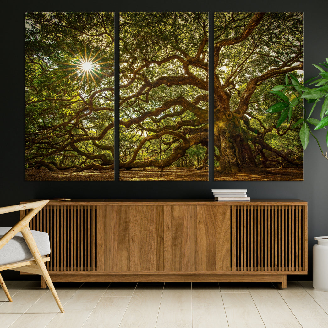 Huge Angel Oak Tree Wall Art Canvas Print, Oak Canvas Wall Decor Nature Fine Art Print Set of 3 Framed