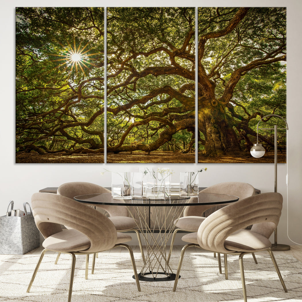 Huge Angel Oak Tree Wall Art Canvas Print, Oak Canvas Wall Decor Nature Fine Art Print Set of 3 Framed